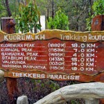 kudremukha-jungle-camp-udupi-homestay-7